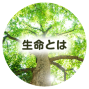 生命とは