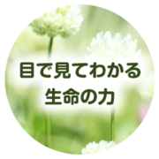 目で見てわかる生命の力